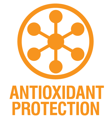 Antioxidant Protection